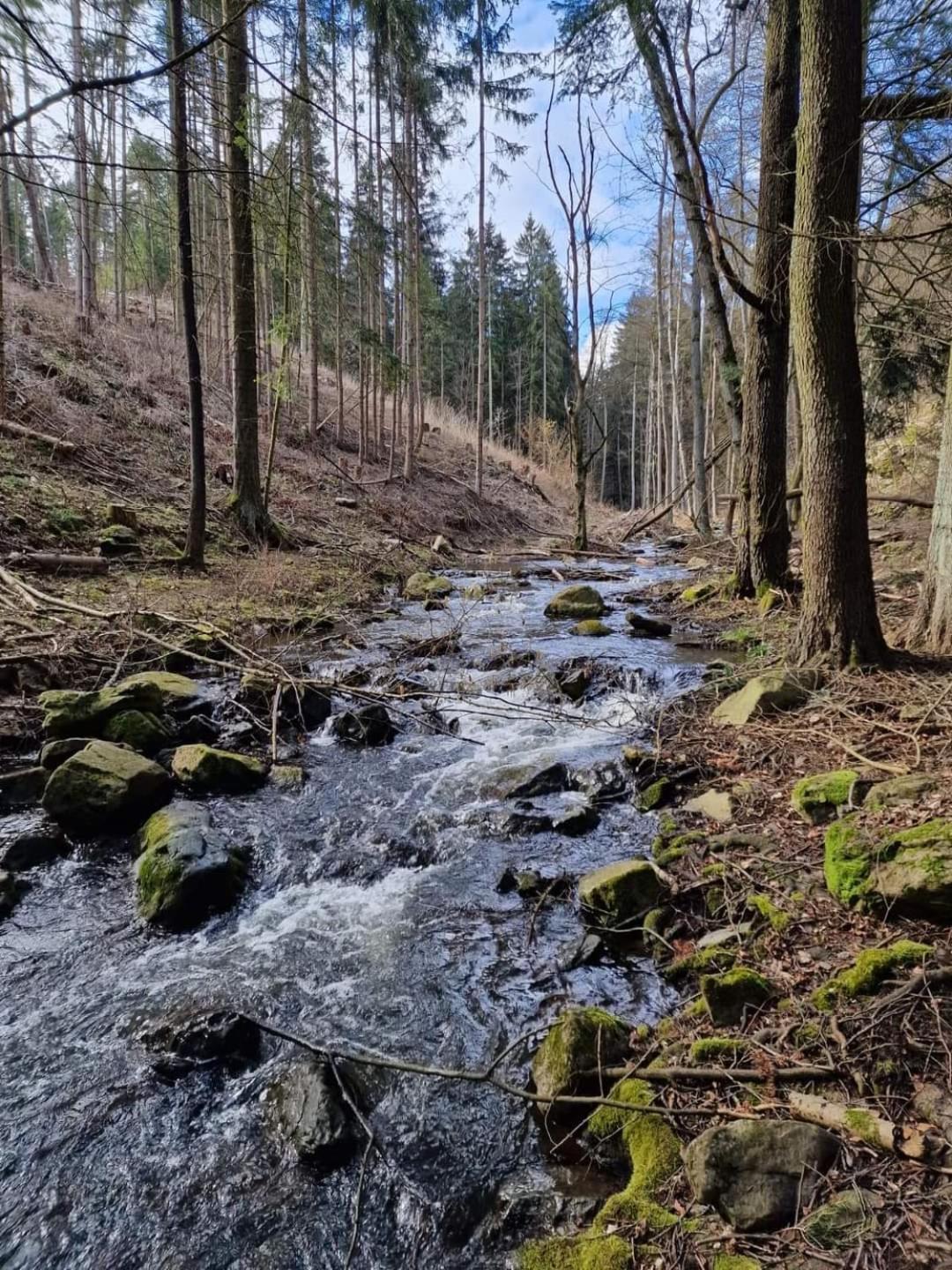Penzion Slunecnice Kurimska Nova Ves Buitenkant foto